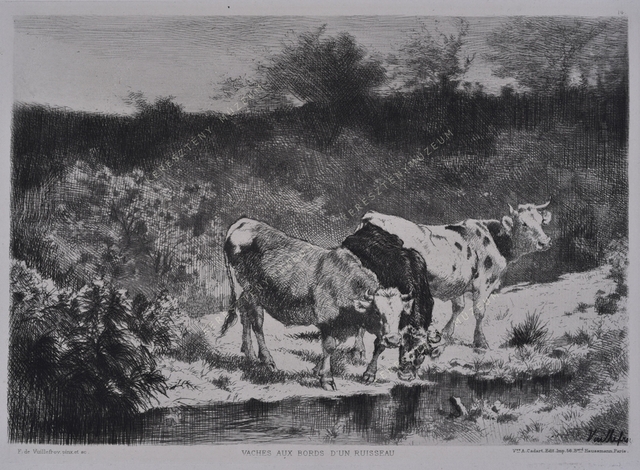 Vaches aux bords d'un ruisseau - Tehenek a patakparton