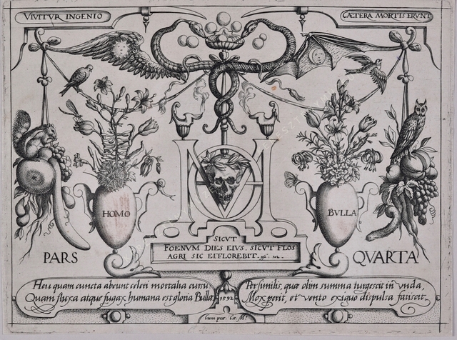 Archetypa studiaque patris Georgii Hoefnagelii