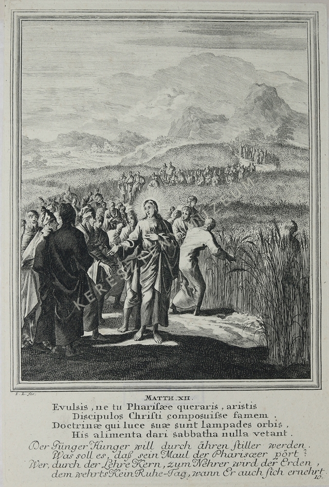 Kalászszedés szombaton