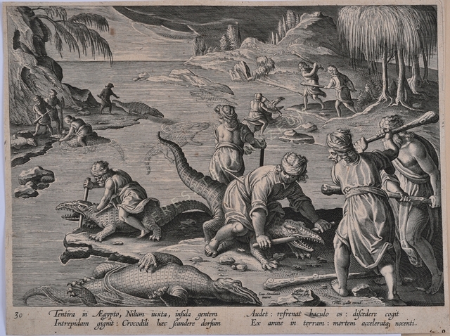 Krokodilvadászat a Níluson