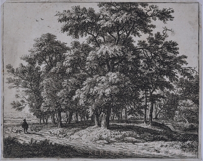 Erdő mellett sétáló férfi kutyáv...