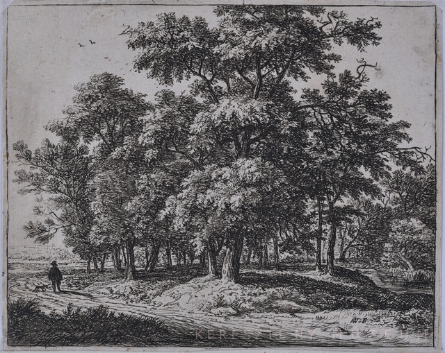 Erdő mellett sétáló férfi kutyával