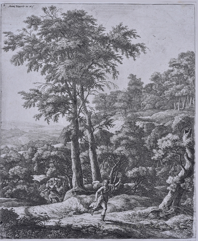 Apolló üldözi Daphnét