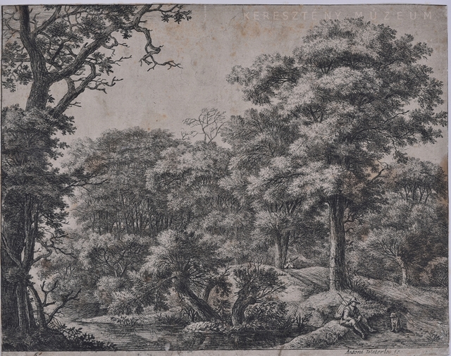 Pihenő utas az erdőben