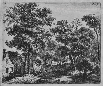 Két utas az erdőben