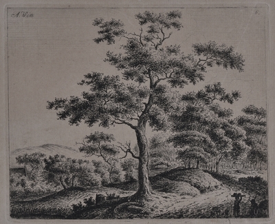 Fa az előtér közepén