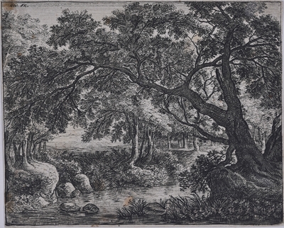 Sziklás partú mocsaras erdei tó