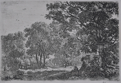 Férfi és kutyája a domb alján