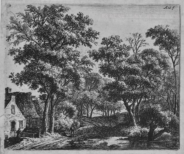 Két utas az erdőben