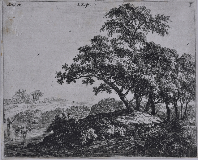 Vízen átmenő birkanyáj